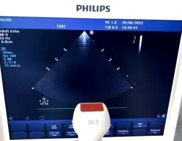 Used 2021 PHILIPS S8-3