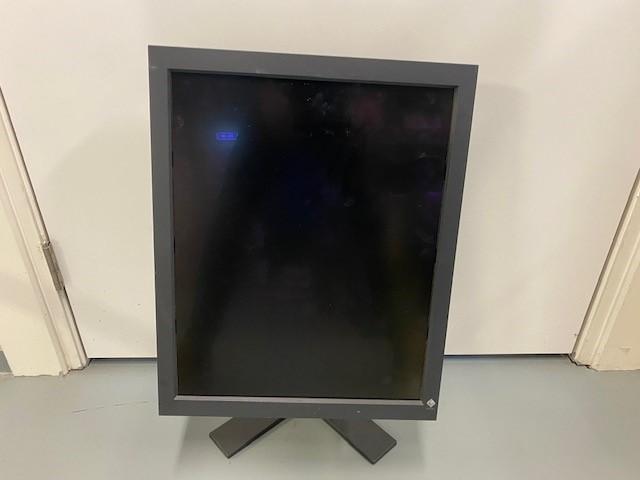 EIZO RadiForce GS520