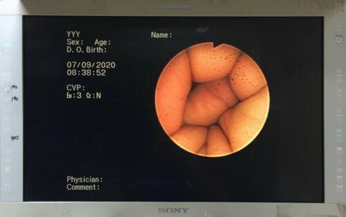 Olympus CF-20i Fiberscope Colonoscope Endoscope Endoscopy (481-h17)_