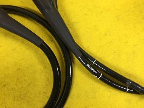 OLYMPUS GIF-FQ260Z Gastroscope Endoscope Endoscopy (2171-S18)_