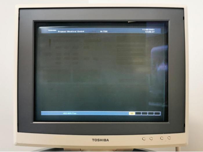 TOSHIBA Xario (SSA-660A)