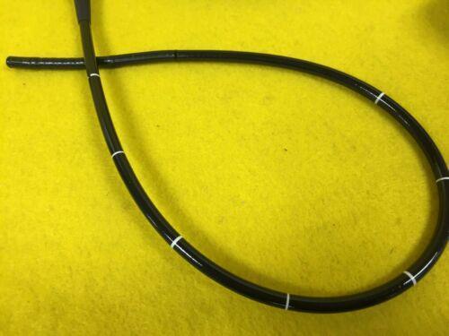 OLYMPUS BF-6C240 bronchoscope Endoscope Endoscopy (695-s29)_