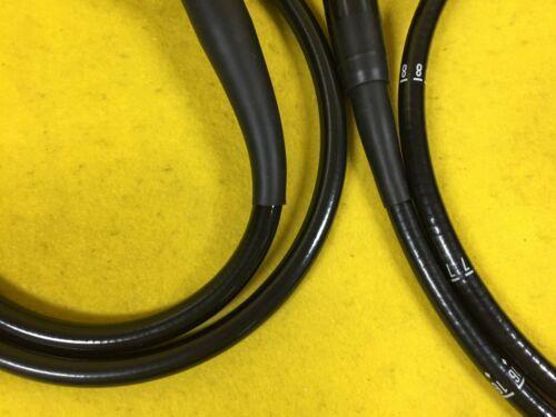 PENTAX EG-3890TLK PAL Gastroscope Endoscope Endoscopy (2091-S16)_