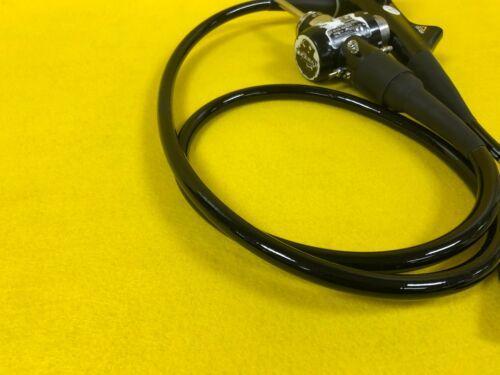 OLYMPUS GIF-H260 Gastroscope Endoscope Endoscopy (356-s19)_